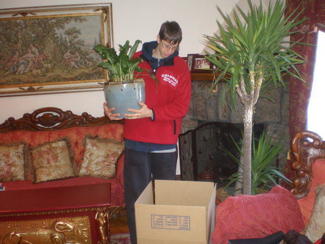 Moving Tips