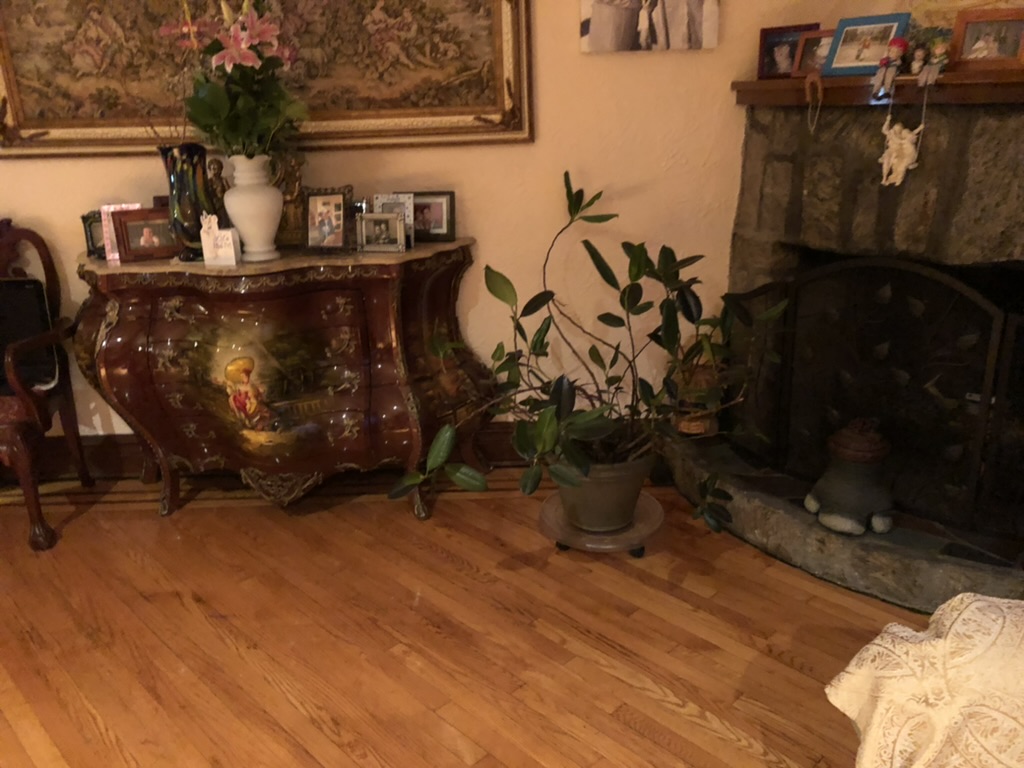 Home Staging