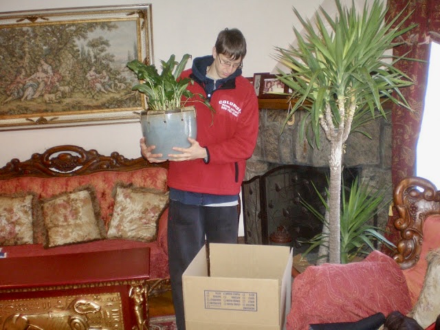 moving companies in Roosevelt Island