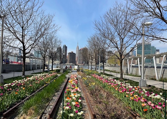 Long Island City Queens NY
